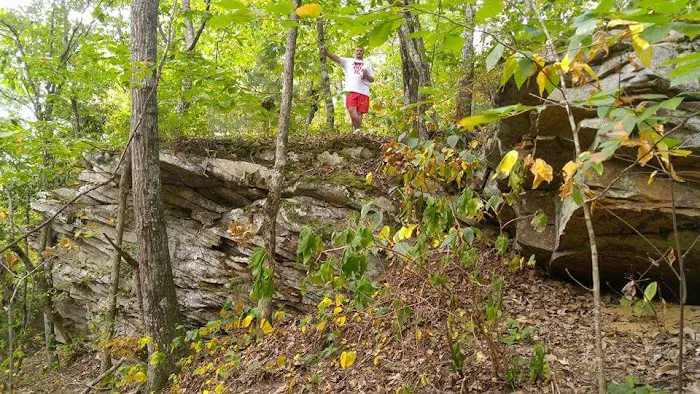 Bluff Creek Falls Picture 3