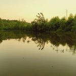 Tidmore Village Campground