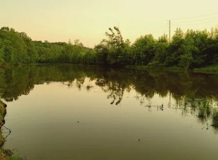 Tidmore Village Campground