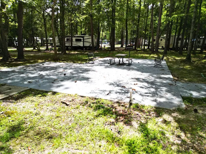 Baywood RV Park Picture 9