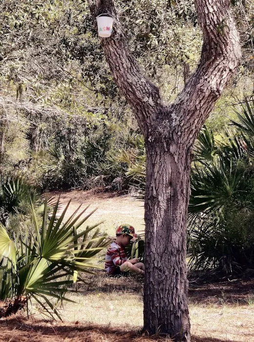 Blackwater Ranch Picture 5