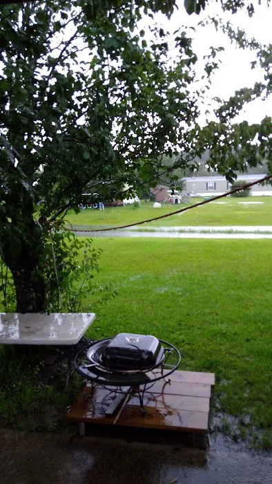 Southern Oaks MH & RV Community Picture 3