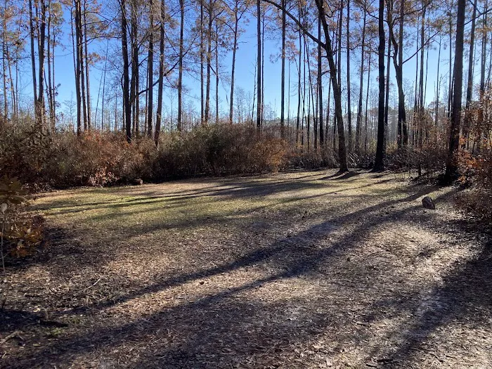 17 Mile Hunt Camp Picture 5