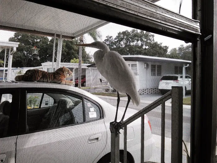 Golden Acres Mobile Home Park Picture 7