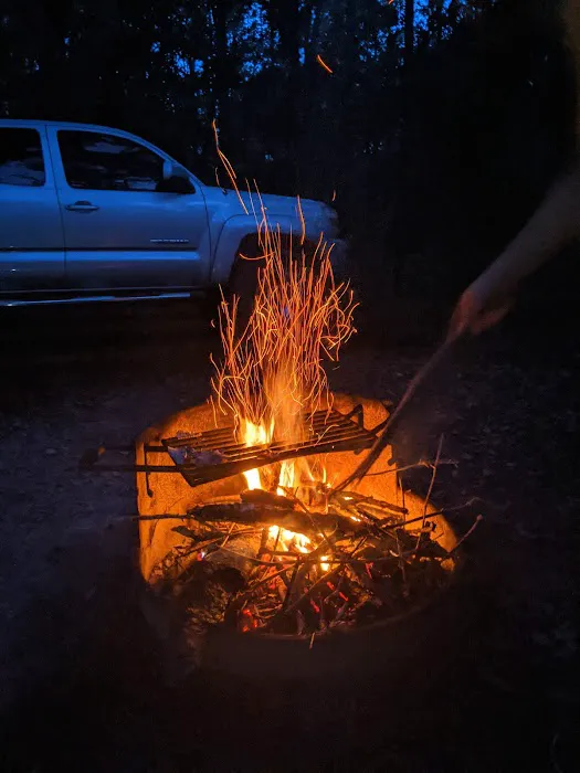Jennings State Forest - Hammock Campground Picture 3