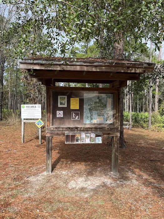 Jennings State Forest - Hammock Campground Picture 1