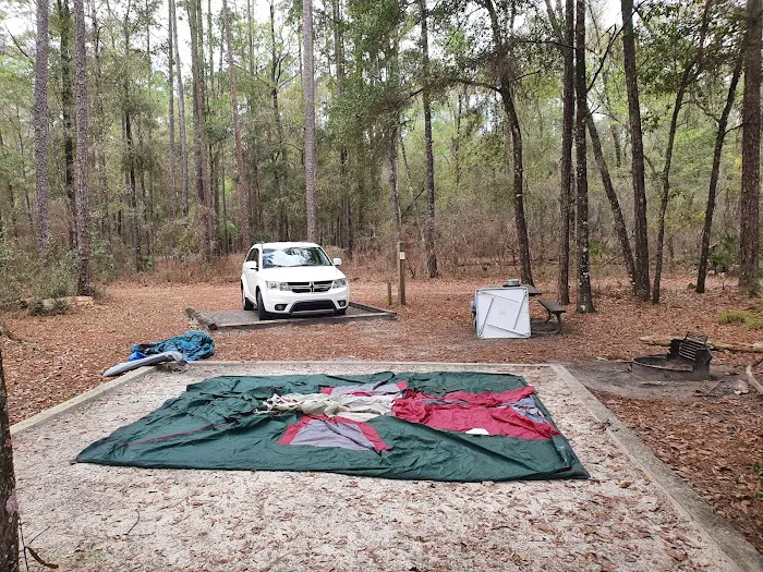 Jennings State Forest - Hammock Campground Picture 7