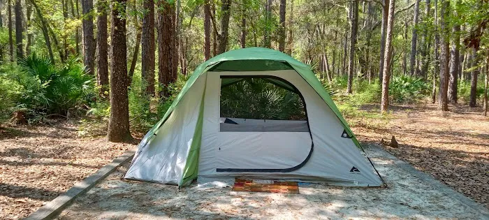 Jennings State Forest - Hammock Campground Picture 8