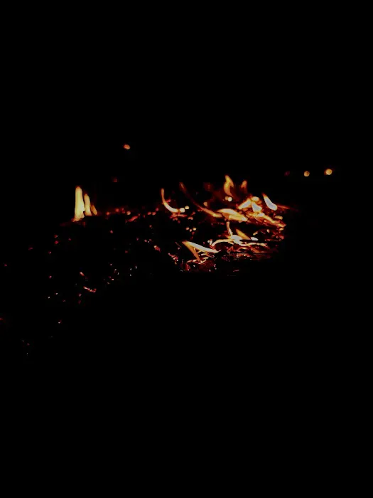 Bootleggers Campground Jennings State Forest, FL Picture 1