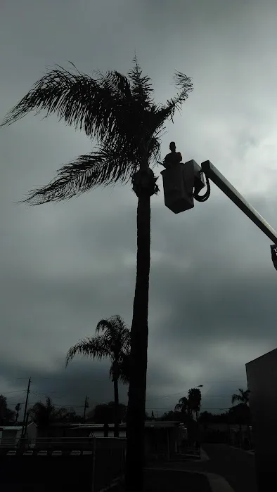 Dunedin Palms Mobile Home Park Picture 3