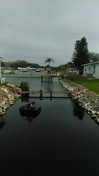 Dunedin Palms Mobile Home Park Picture 4