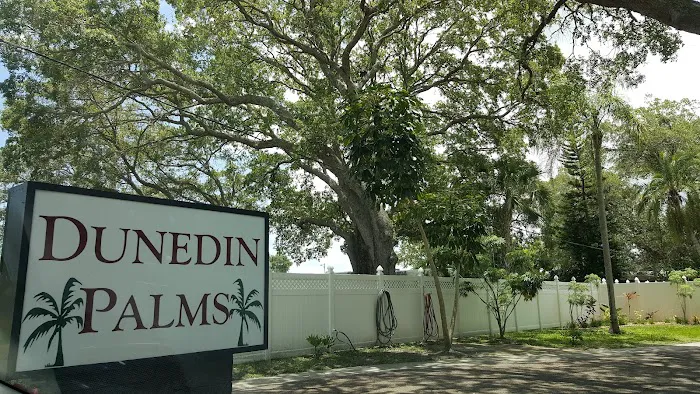 Dunedin Palms Mobile Home Park Picture 5