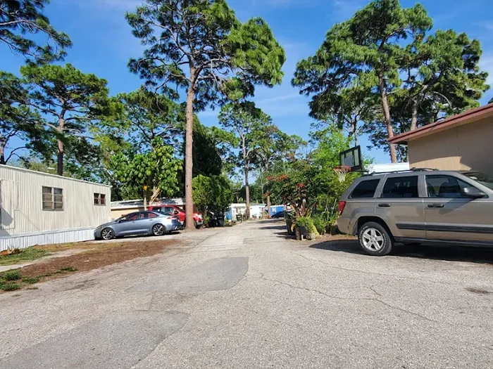 Safety Harbor Mobile Home Park | Safety Harbor, FL Picture 3