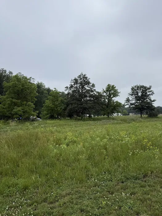 Harry L Swartz Campground Picture 9