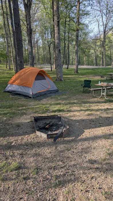 David Crockett State Park Campground #1 Picture 5