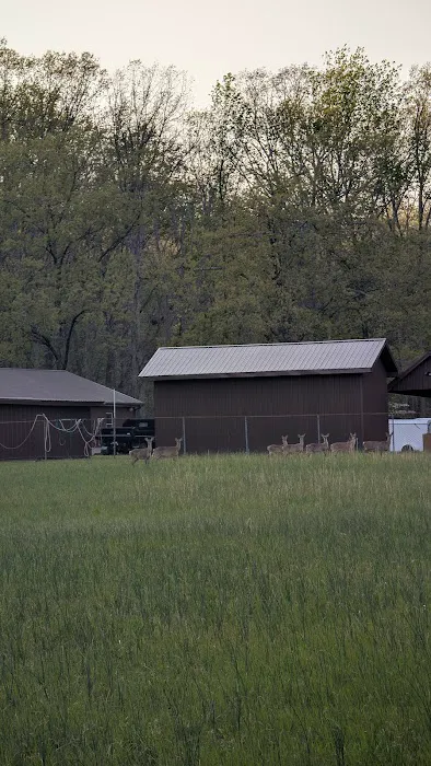 David Crockett State Park Campground #1 Picture 2