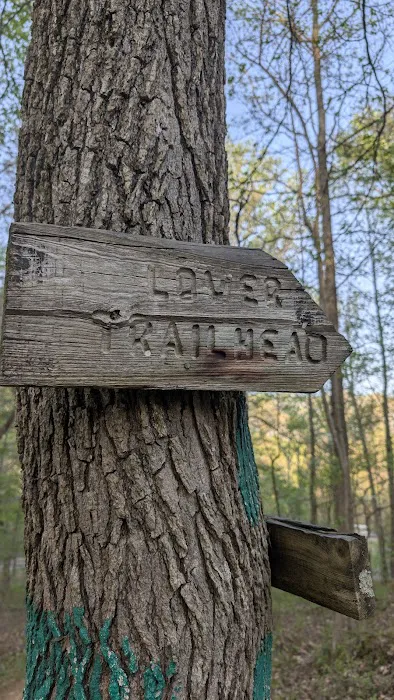David Crockett State Park Campground #1 Picture 3