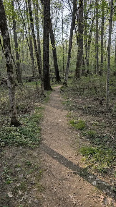 David Crockett State Park Campground #1 Picture 4