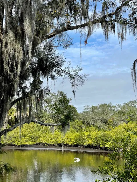 Keylime Bay Rv Resort Picture 6