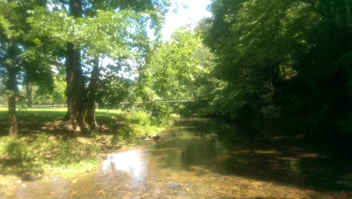 Veteran's Park Picture 10
