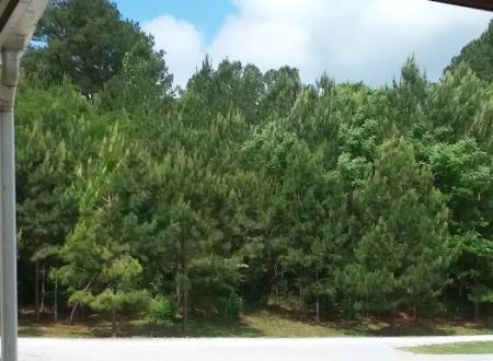 Powder Horn Campground
