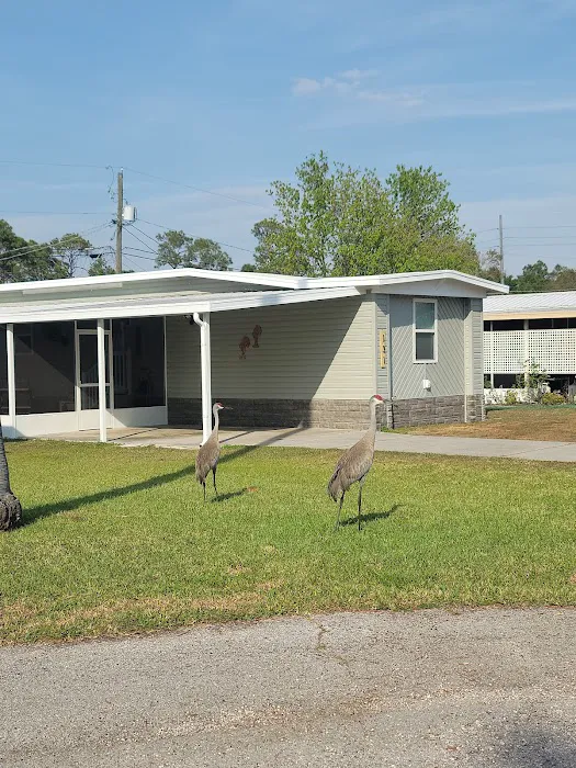 Cypress Gardens Mobile Home & RV Park Picture 4