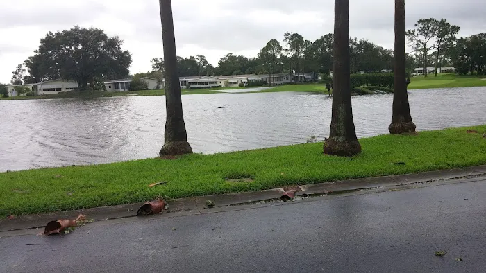 Hampton's Club House Picture 5