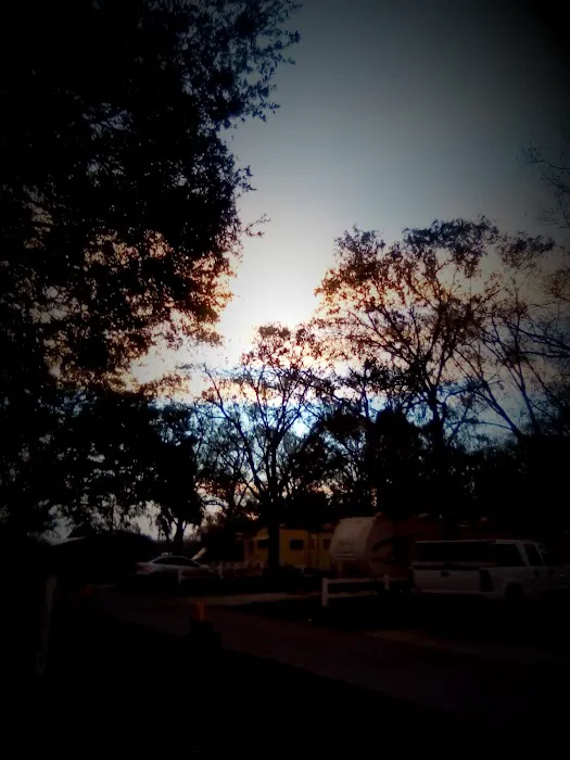 J$Js park Picture 3