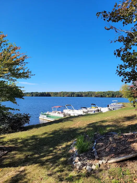 Beech Lake Family Camping Resort Picture 8