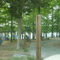 Beech Lake Family Camping Resort ico