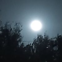 Big Oaks Long Term RV Park ico