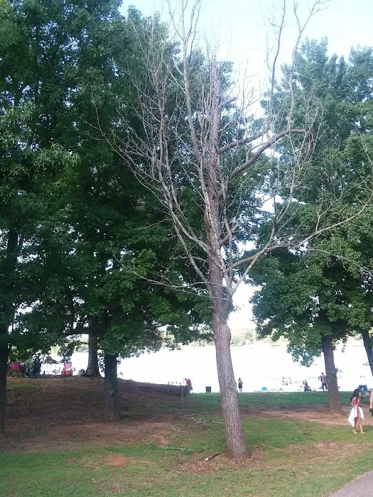 Beech River Watershed Development Picture 6