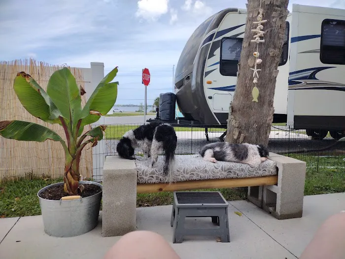 Palm Shores RV Park Picture 10