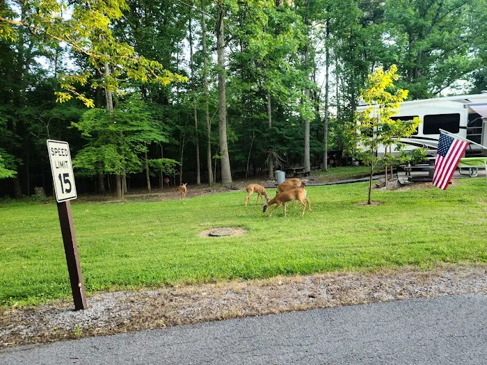 Canal Campground Picture 7