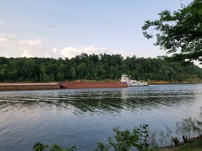 Campground on the lower Cumberland River Picture 1