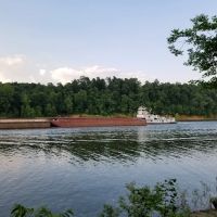 Campground on the lower Cumberland River ico