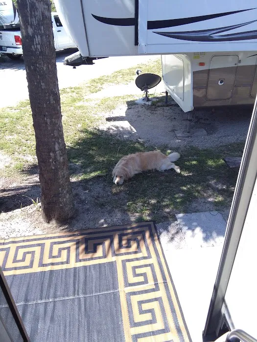 Ocean View RV & Mobile Home Court Picture 9