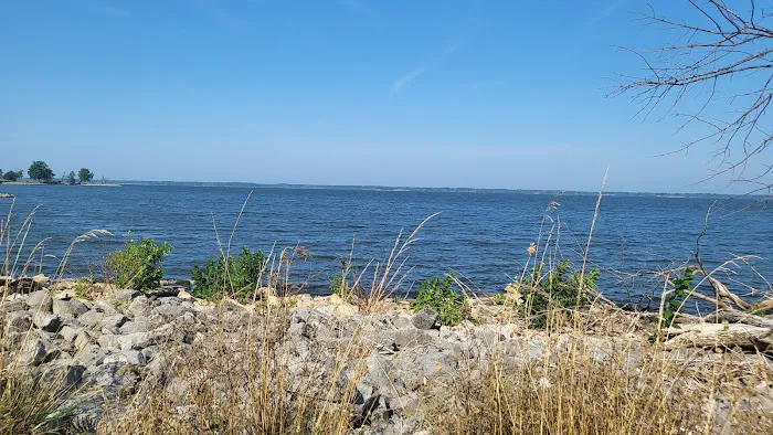 Wayne Fi.... Campground Picture 1