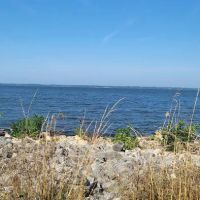 Wayne Fi.... Campground ico
