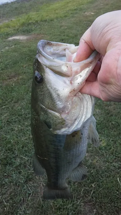 Lake Campalot Picture 6