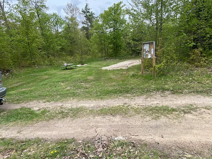 Andy’s Wolf Traxx Picture 4