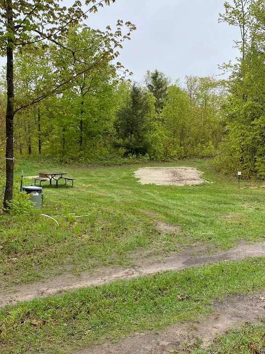 Andy’s Wolf Traxx Picture 2