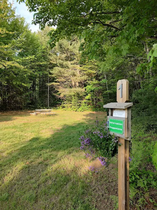High Swamp Camp Picture 2