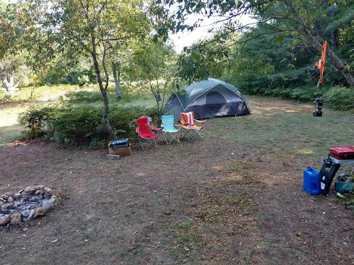 High Swamp Camp Picture 4