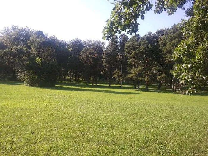 Sherwood Forest Mobile Home Community Picture 8