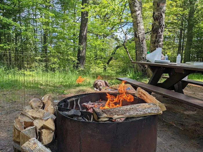 Lake Superior State Forest Campground Picture 6