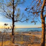 Lake Superior State Forest Campground