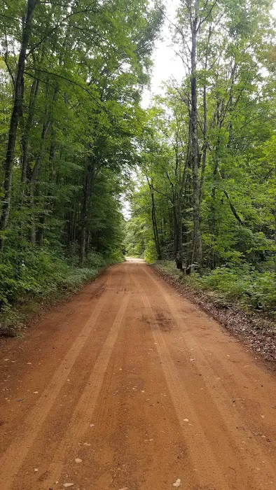 West Branch Campground Picture 2