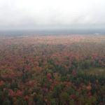 Cusino Lake State Forest Campground