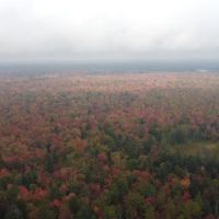 Cusino Lake State Forest Campground ico